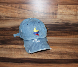 Colombia Dad Hat